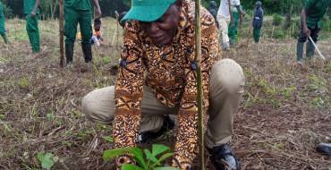 LAUNCH OF GREEN GHANA PROJECT IN HOHOE MUNICIPALITY